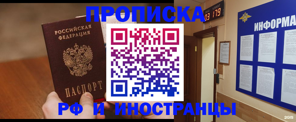 прописка в Кольчугино