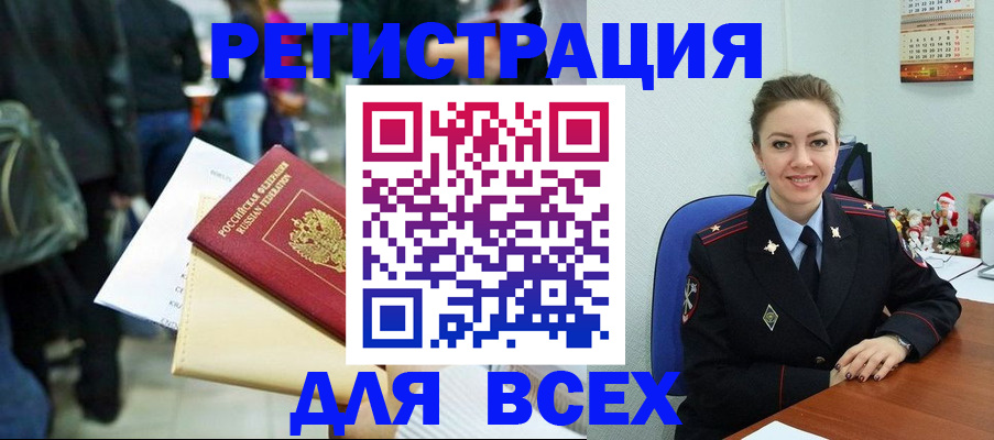 прописка 2025 в Кольчугино